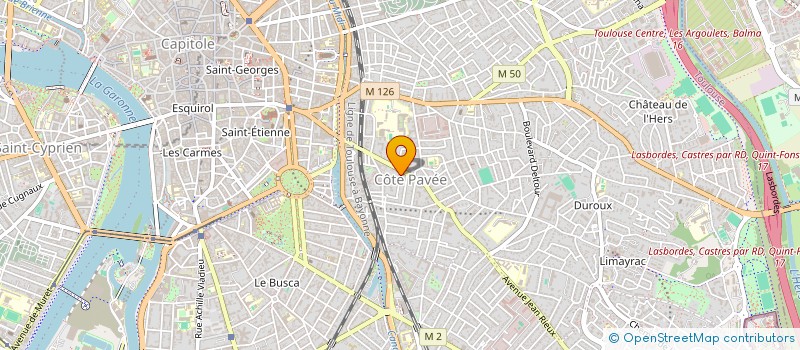 localisation de l'entreprise MONSIEUR ROCH DE BELLEFROID à TOULOUSE