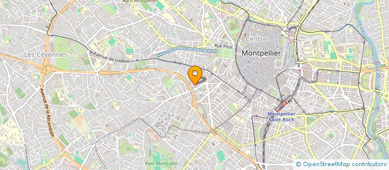 localisation de l'entreprise MONSIEUR ROCK SAYA-MOUKASSA à MONTPELLIER