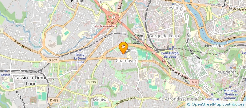 localisation de l'entreprise MONSIEUR RODOLPHE DELACOUR à LYON