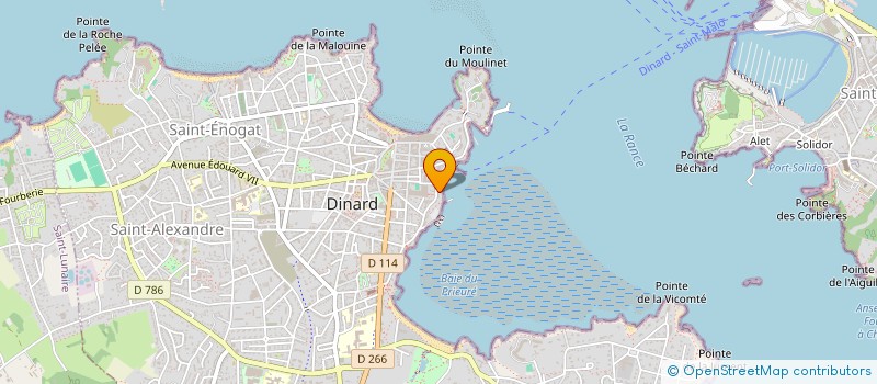 localisation de l'entreprise MONSIEUR RODOLPHE MARICS  DINARD