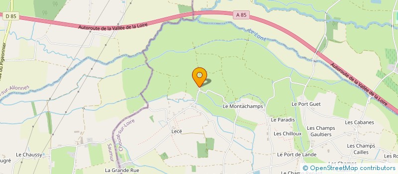 localisation de l'entreprise MONSIEUR RODOLPHE PELLUARD  CHOUZE-SUR-LOIRE