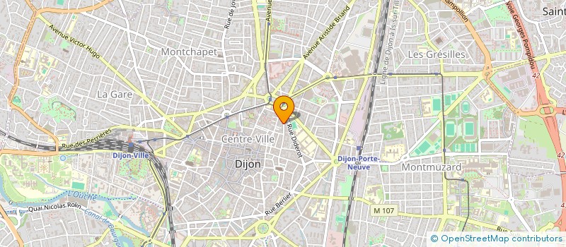 localisation de l'entreprise MONSIEUR RODOLPHE SPITZ  DIJON