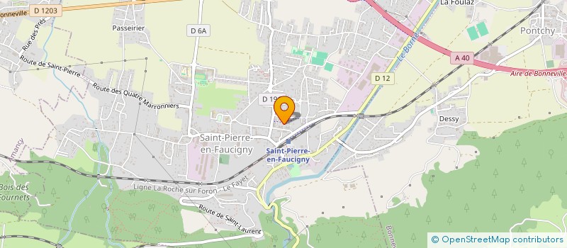 localisation de l'entreprise MONSIEUR RODRIGO FERNANDES BORGES  SAINT-PIERRE-EN-FAUCIGNY