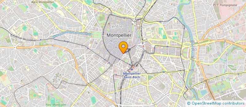 localisation de l'entreprise MONSIEUR RODRIGO PERALES GRIS à MONTPELLIER