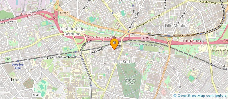 localisation de l'entreprise MONSIEUR RODRIGUE BOUXOM à LILLE
