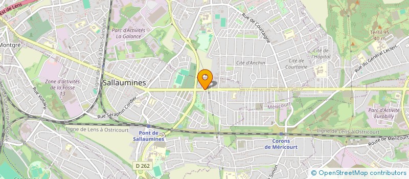 localisation de l'entreprise MONSIEUR RODRIGUE JACOB  SALLAUMINES