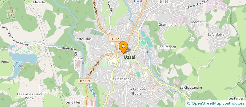localisation de l'entreprise MONSIEUR RODRIGUE MAGINIER à USSEL