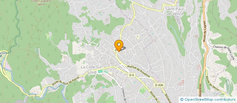 localisation de l'entreprise MONSIEUR RODRIGUE SAAVEDRA  LA COLLE-SUR-LOUP