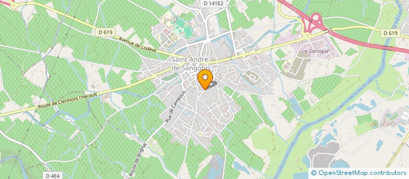 localisation de l'entreprise MONSIEUR ROGER BELARD  SAINT-ANDRE-DE-SANGONIS