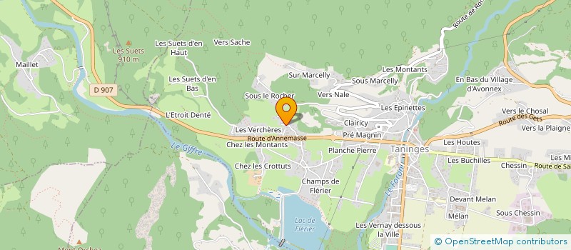 localisation de l'entreprise MONSIEUR ROGER BURTIN  TANINGES