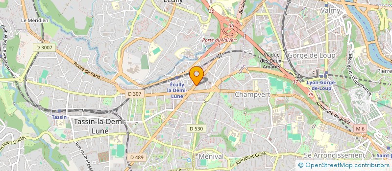 localisation de l'entreprise MONSIEUR ROGER CHEDEVILLE  TASSIN-LA-DEMI-LUNE