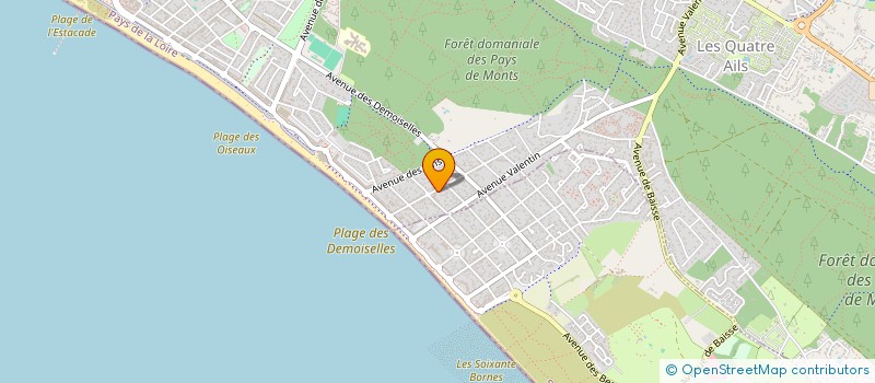 localisation de l'entreprise MONSIEUR ROGER CHIQUET  SAINT-JEAN-DE-MONTS