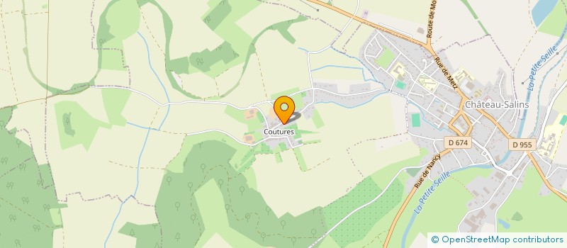 localisation de l'entreprise MONSIEUR ROGER COLSON  CHATEAU-SALINS