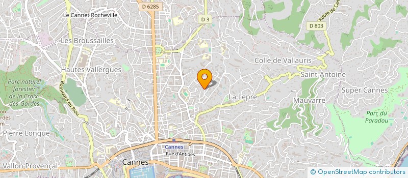 localisation de l'entreprise MONSIEUR ROGER DESPLAS à CANNES