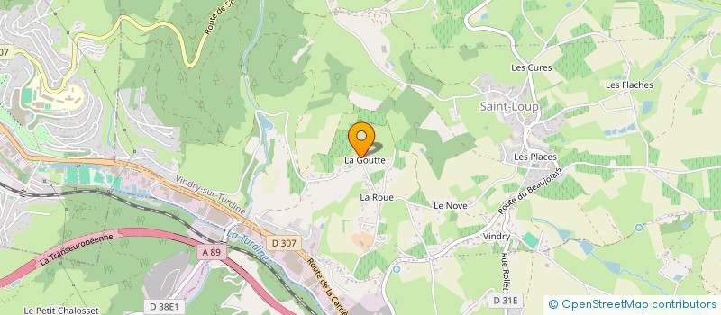 localisation de l'entreprise MONSIEUR ROGER FLACHE  VINDRY-SUR-TURDINE