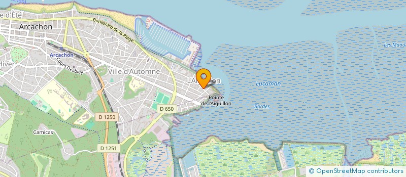 localisation de l'entreprise MONSIEUR ROGER GOURGUES  ARCACHON