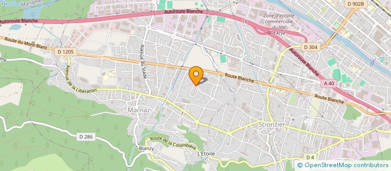 localisation de l'entreprise MONSIEUR ROGER GRANGE  MARNAZ