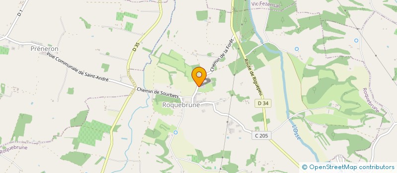 localisation de l'entreprise MONSIEUR ROGER MAGNAS  LANNEPAX