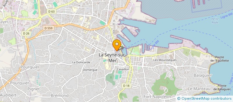 localisation de l'entreprise MONSIEUR ROGER NICCOLETTI à LA SEYNE-SUR-MER