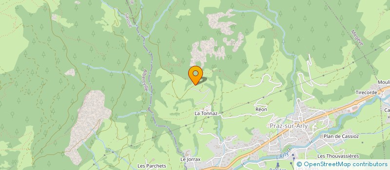 localisation de l'entreprise MONSIEUR ROGER PETICCA  PRAZ-SUR-ARLY