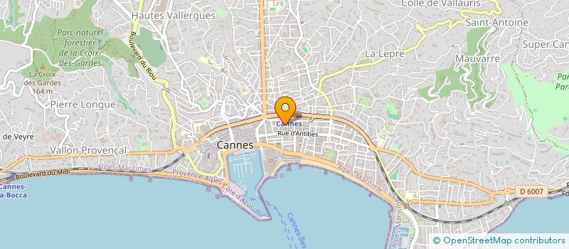 localisation de l'entreprise MONSIEUR ROGER PION à CANNES