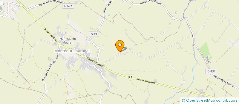 localisation de l'entreprise MONSIEUR ROGER PUGET  SAINT-FELIX-LAURAGAIS