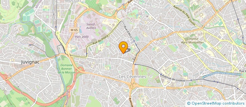 localisation de l'entreprise MONSIEUR ROGER RABIER à MONTPELLIER