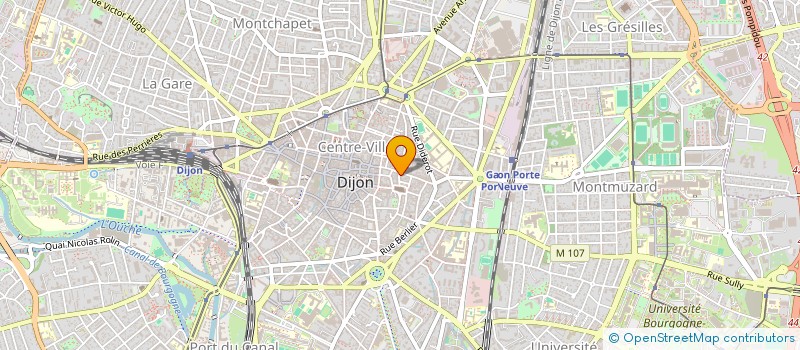 localisation de l'entreprise MONSIEUR ROGER REGNIER à DIJON
