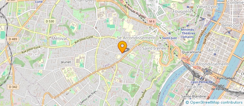 localisation de l'entreprise MONSIEUR ROGER RUIZ  LYON