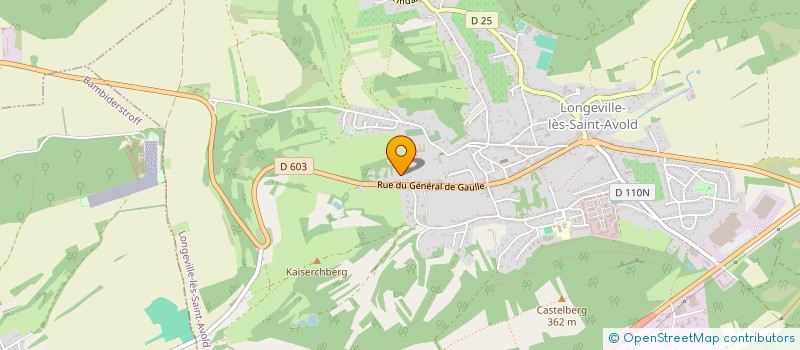 localisation de l'entreprise MONSIEUR ROGER STEIN  LONGEVILLE-LES-SAINT-AVOLD