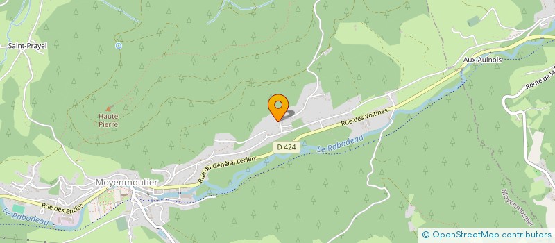 localisation de l'entreprise MONSIEUR ROGER VALENTIN  MOYENMOUTIER