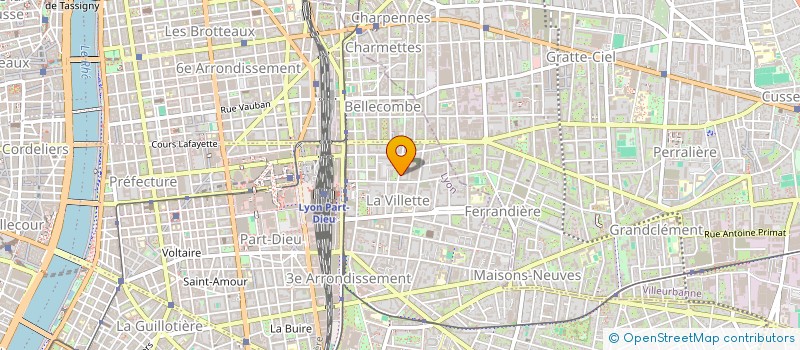 localisation de l'entreprise MONSIEUR ROGER VICARI  LYON