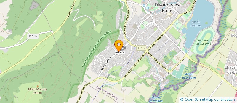 localisation de l'entreprise MONSIEUR ROLAND ARRIGONI à DIVONNE-LES-BAINS