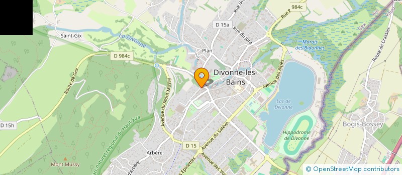 localisation de l'entreprise MONSIEUR ROLAND BRULFER à DIVONNE-LES-BAINS
