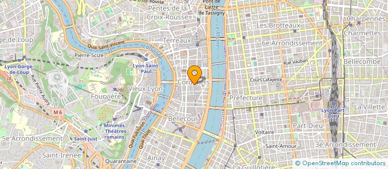 localisation de l'entreprise MONSIEUR ROLAND CAPELASSE à LYON