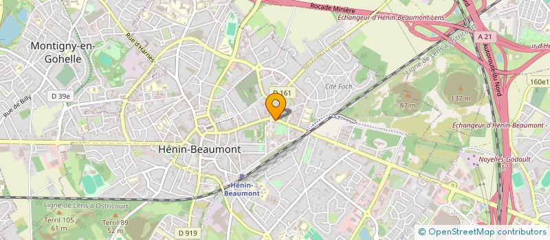 localisation de l'entreprise MONSIEUR ROLAND CHOPIN à HENIN-BEAUMONT