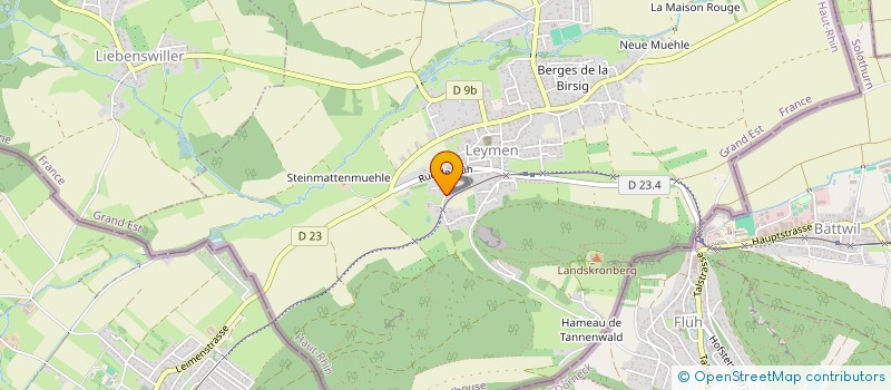 localisation de l'entreprise MONSIEUR ROLAND CRON  LEYMEN