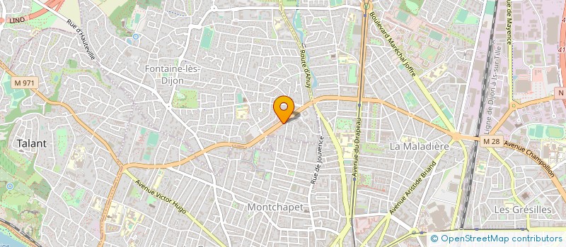 localisation de l'entreprise MONSIEUR ROLAND JAILLET  FONTAINE-LES-DIJON