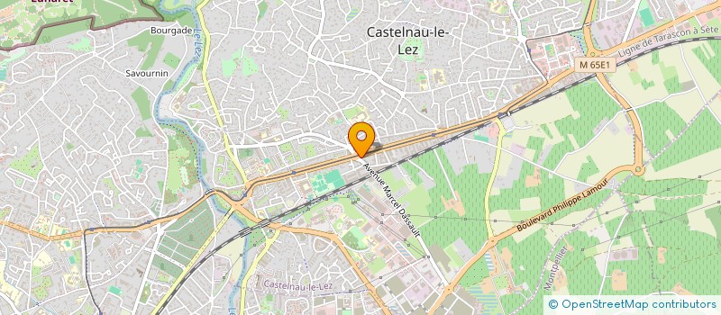 localisation de l'entreprise MONSIEUR ROLAND SAUGO à CASTELNAU-LE-LEZ