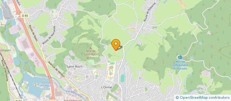 localisation de l'entreprise MONSIEUR ROLAND SAULNIER  SAINT-DIE-DES-VOSGES