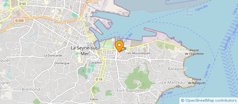localisation de l'entreprise MONSIEUR ROMAIN ARRIGHI à LA SEYNE-SUR-MER