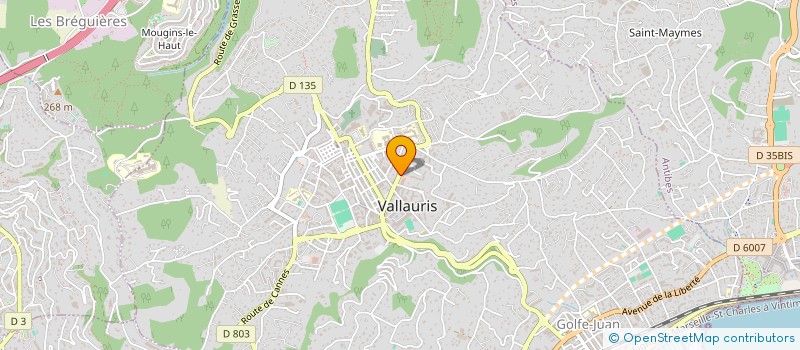 localisation de l'entreprise MONSIEUR ROMAIN ASSIE  VALLAURIS