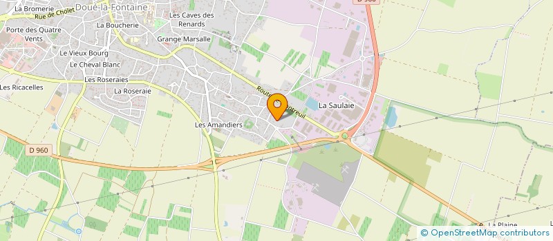 localisation de l'entreprise MONSIEUR ROMAIN BENOIST  DOUE-EN-ANJOU