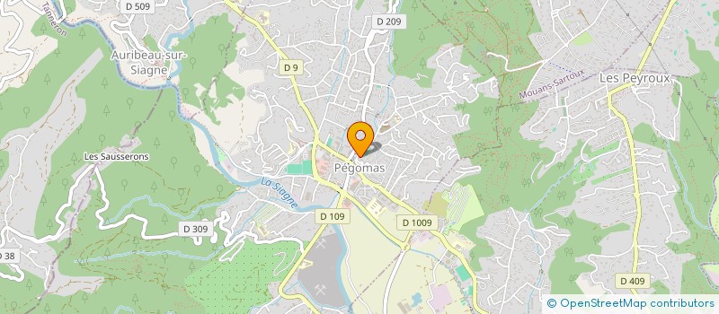 localisation de l'entreprise MONSIEUR ROMAIN BESSON  PEGOMAS