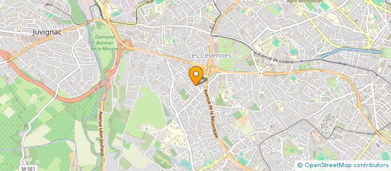 localisation de l'entreprise MONSIEUR ROMAIN BIAVA à MONTPELLIER