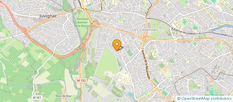localisation de l'entreprise MONSIEUR ROMAIN BOSELLI à MONTPELLIER