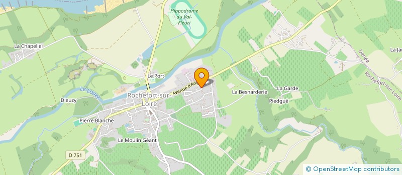 localisation de l'entreprise MONSIEUR ROMAIN BOURREAU à VAL-DU-LAYON