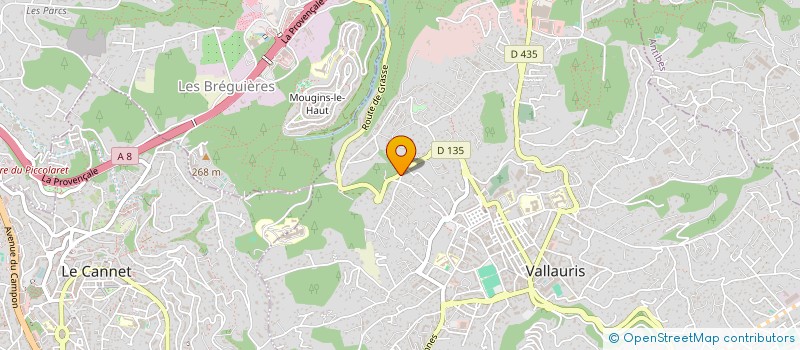 localisation de l'entreprise MONSIEUR ROMAIN CAMOS  VALLAURIS