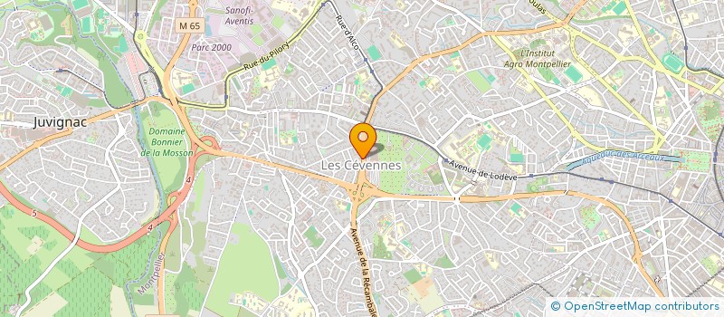 localisation de l'entreprise MONSIEUR ROMAIN CAMUS à MONTPELLIER