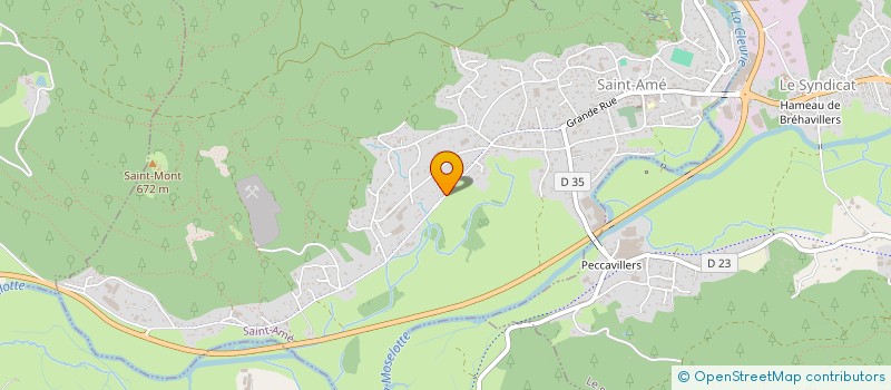 localisation de l'entreprise MONSIEUR ROMAIN CHOLEZ  SAINT-AME